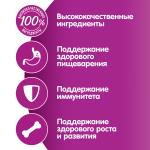 Корм для кошек влажный Whiskas рагу курица для котят, 75г