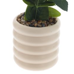 GAEM Цветочная композиция "Ранункулюс", L16 W10 H41 см