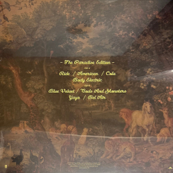 Виниловая пластинка Lana Del Rey ‎– Paradise LP