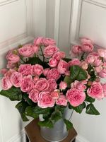 Пионовидная кустовая роза сорт ФАТАЛ