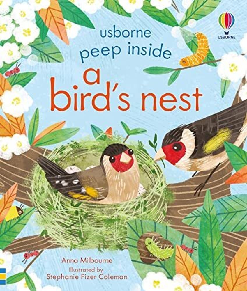 Peep Inside a Bird&#39;s Nest