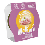 Ламистер для взрослых собак мини-пород Molina цыпленок в желе, 75 г