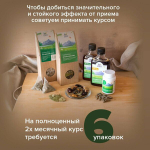 Травяной чай «Алтайский ключ»