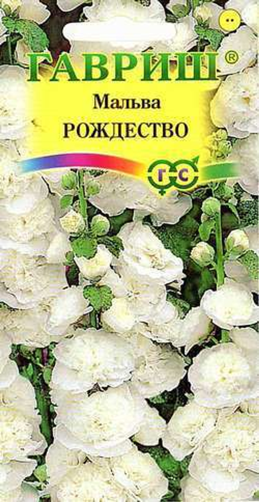 Мальва Рождество Гавриш