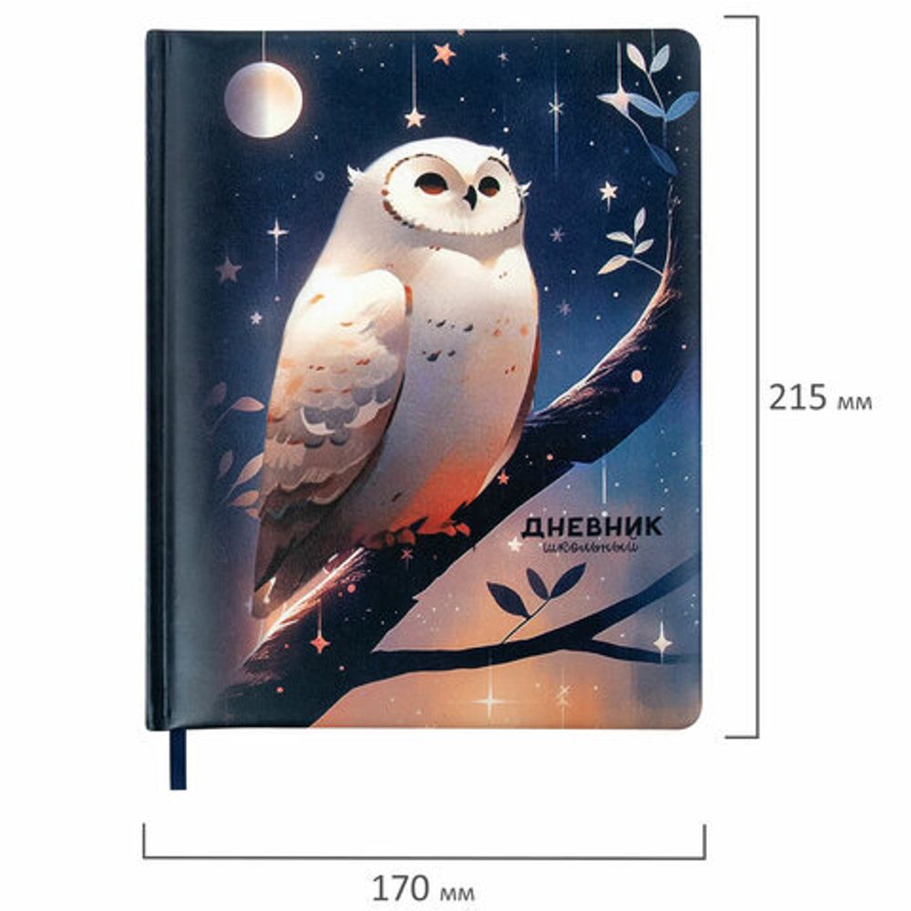 Дневник 1-11 класс 48 л., кожзам (твердая с поролоном), печать, наклейки, BRAUBERG, "Сова", 106947