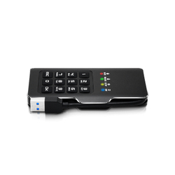 Мини-диск с шифрованием и паролем DataLock PRO М2 1 Tb