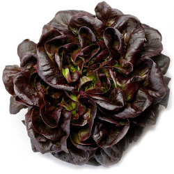 салат Гоген