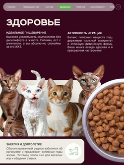 Корм сухой для кошек породы Сфинкс, с ягненком, 2 кг, QUATTRO