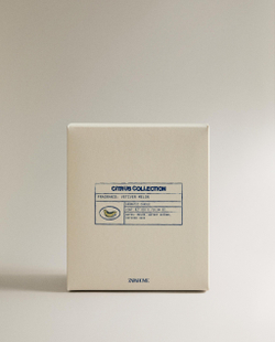 Zara Home Свеча ароматическая Vetiver Melon 310 г, растительный воск, аромат древесный, Коричневый