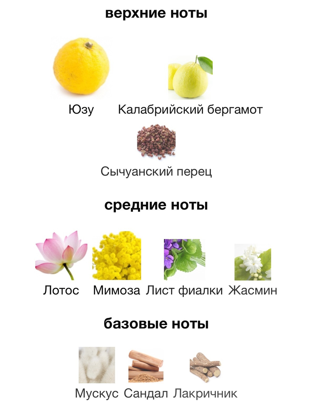 Acqua di Parma Yuzu