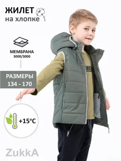 Жилетка утепленная мембрана с капюшоном