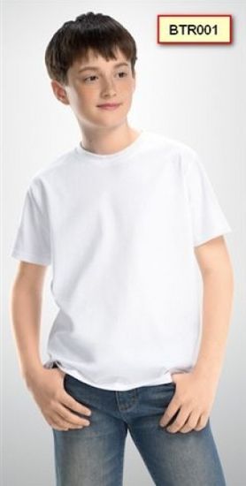 Футболка для мальчиков Pelican BTR 001