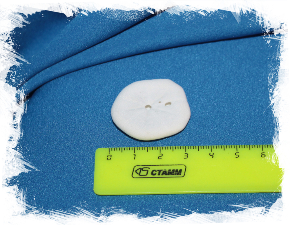 Панцирь морского ежа Laganum, Sanddollar для декора