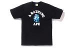 A Bathing Ape Bathing Ape Ss23