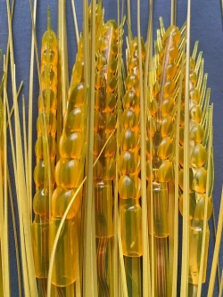 уличные светильники на солнечных батареях садовые/ колоски 15 штук