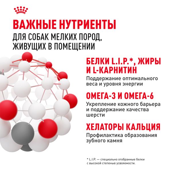 Сухой корм Royal Canin Mini Indoor Adult для взрослых собак мелких размеров, живущих в помещении