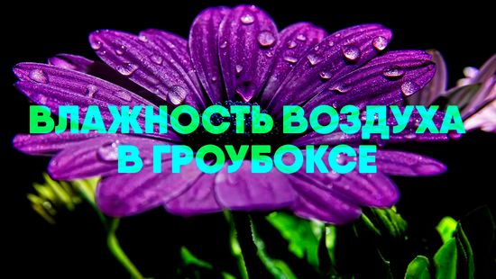 Влажность воздуха в гроубоксе