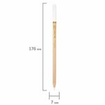 Карандаши МЕЛОВЫЕ художественные белые, НАБОР 12 шт., BRAUBERG ART CLASSIC, грифель 4 мм, 181897