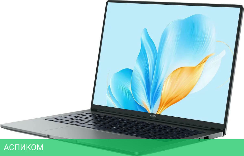 Ноутбук Honor MagicBook X14 2025 FRG-X Space Gray (5301ALXL)