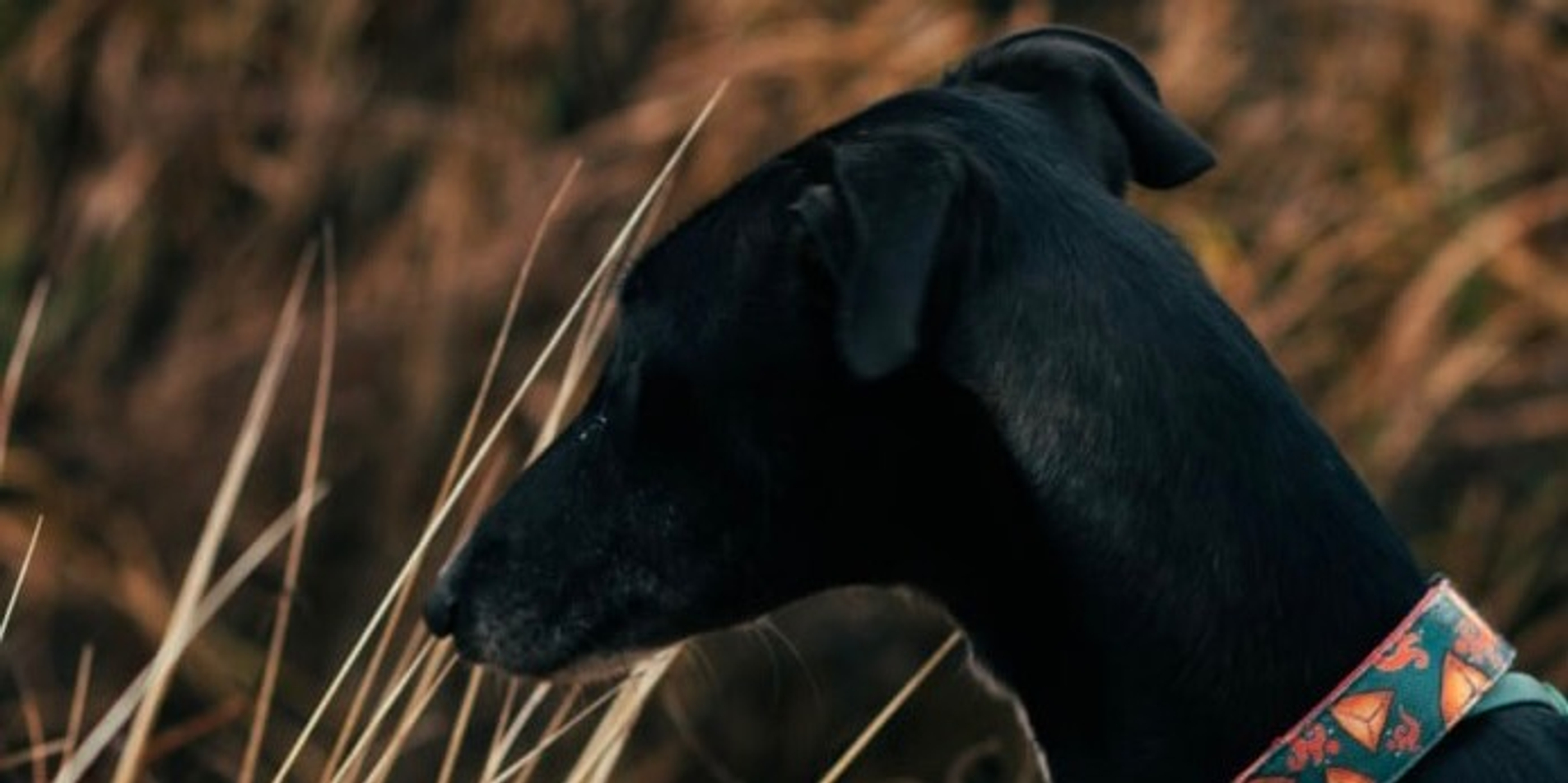 Эчпочмак с горячим чаем