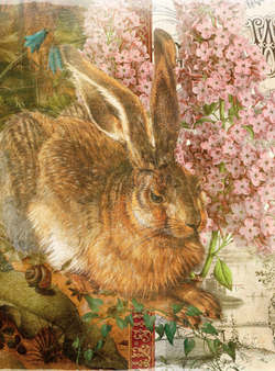 Коллекция Животные