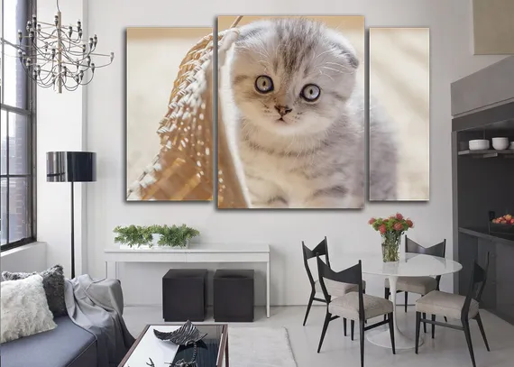 Модульная картина "Вислоухий шотландец"