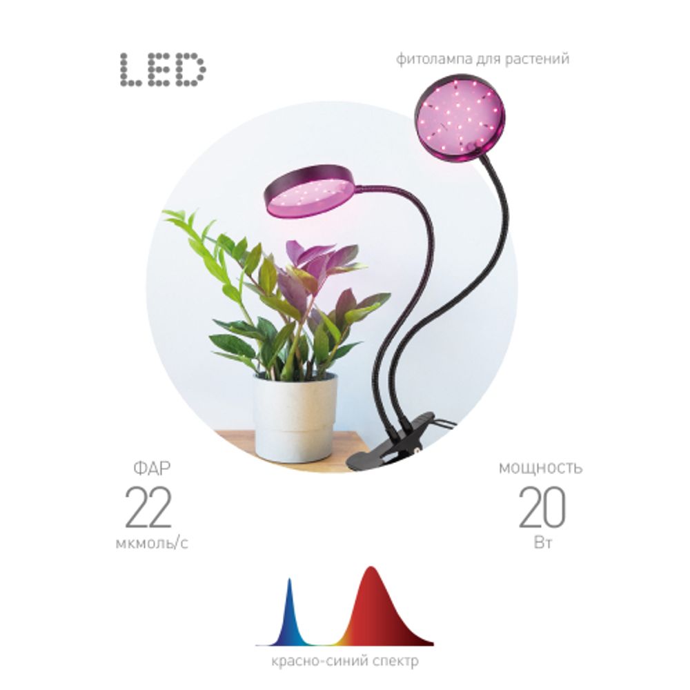 Светильник для растений на прищепке ЭРА FITO-20W-АLED-R красно-синего спектра 20 Вт черный