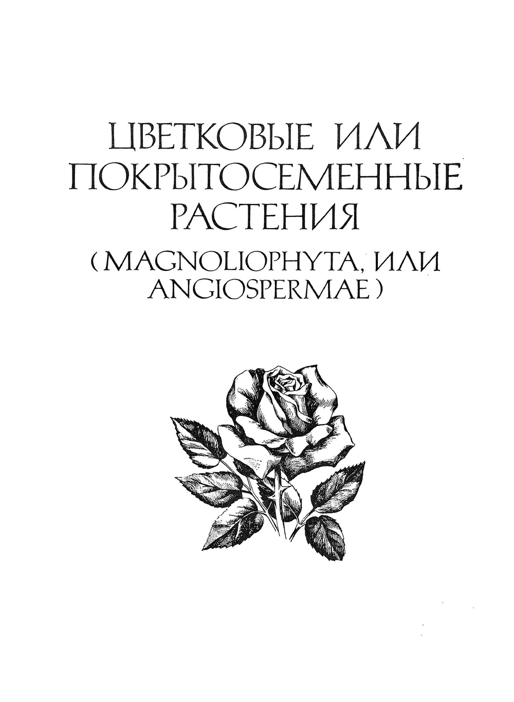 Жизнь растений. В 6-ти томах. Том 5, часть 2: Цветковые растения | А.Л. Тахтаджян