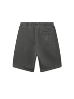 Мужские Шорты  Nelson