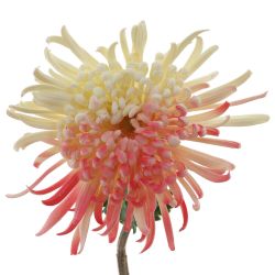 GAEM Цветок искусственный, L W H78 см