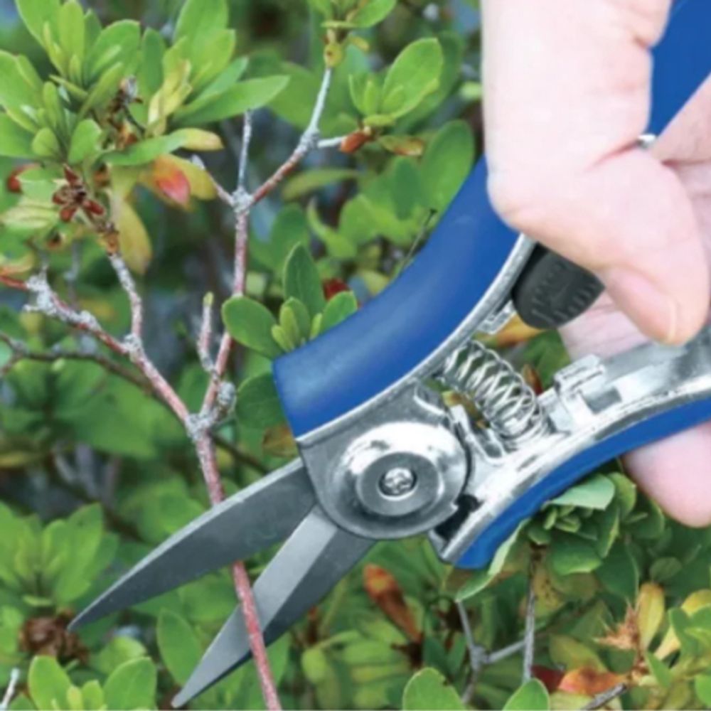 GAYW06-078 GREEN APPLE Секатор для цветов и комнатных растений | GREEN APPLE