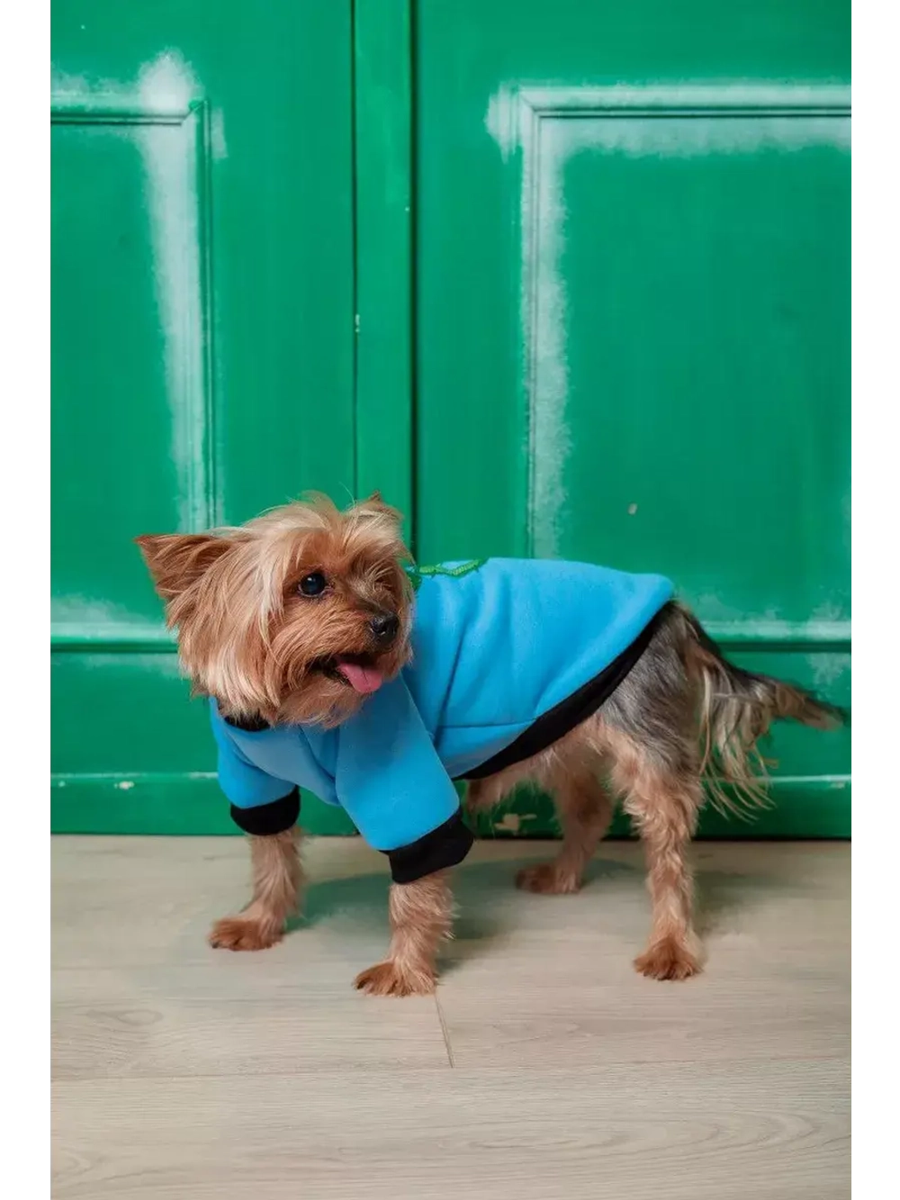 Толстовка для собак и кошек