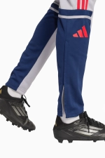 Штаны adidas Squadra 25 Training - серый