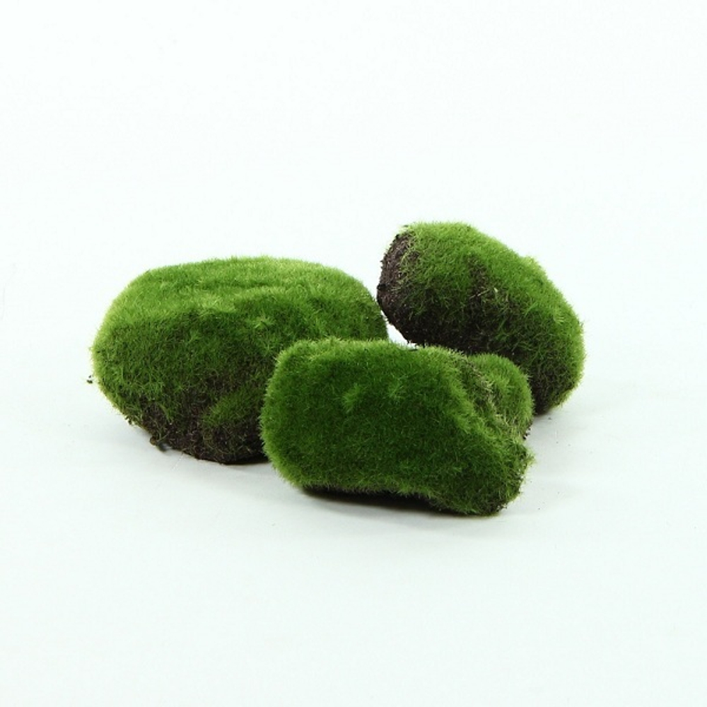 Мох 6 см  [Арт. TSF00284]