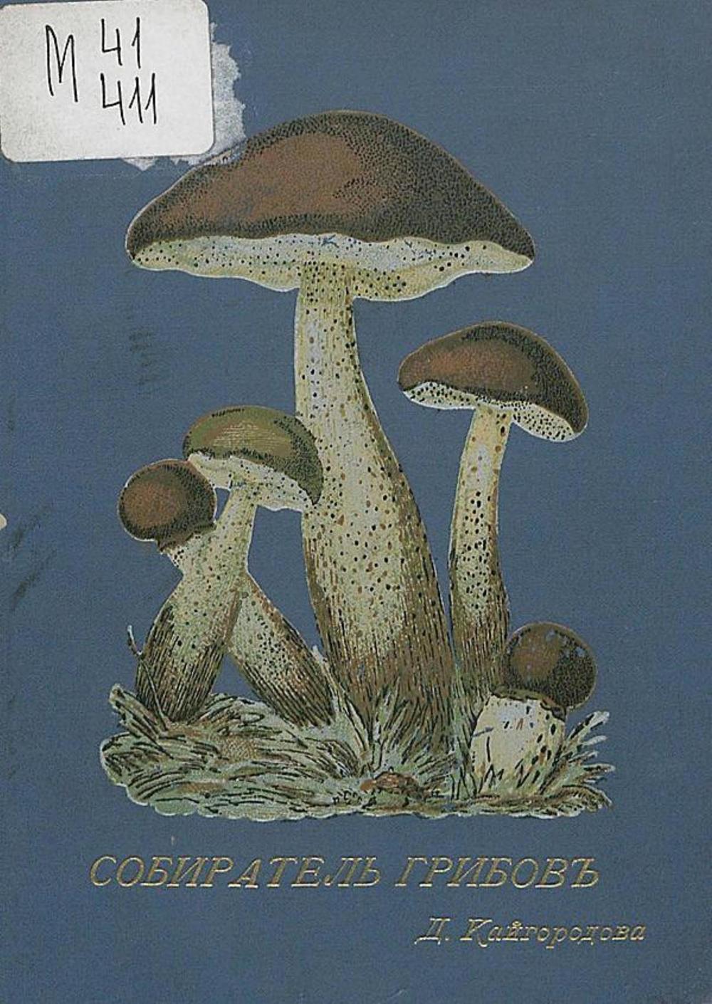 Собиратель грибов | Кайгородов Дмитрий Никифорович