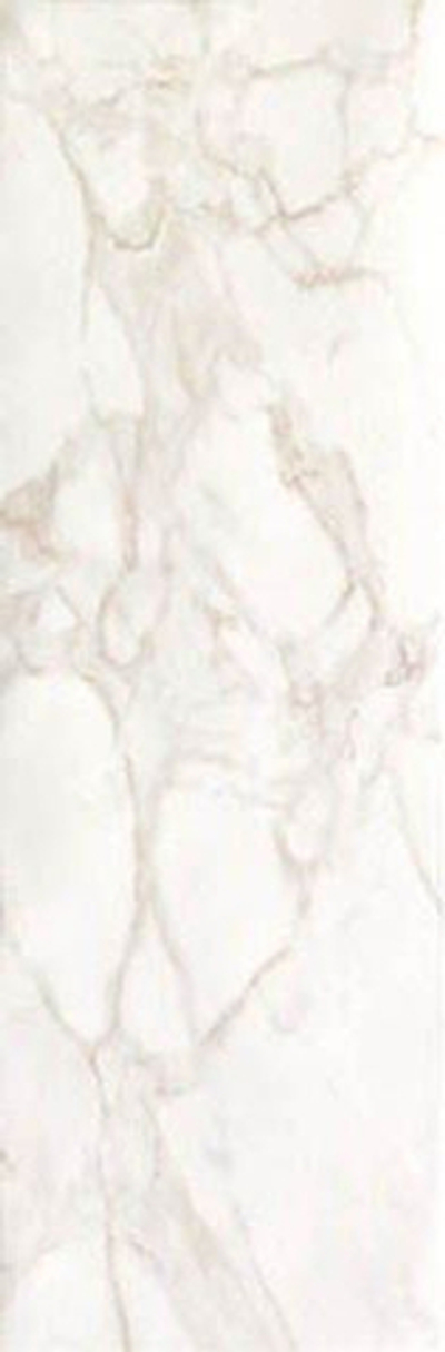 Настенная плитка ROMA 25 CALACATTA (fLSN)