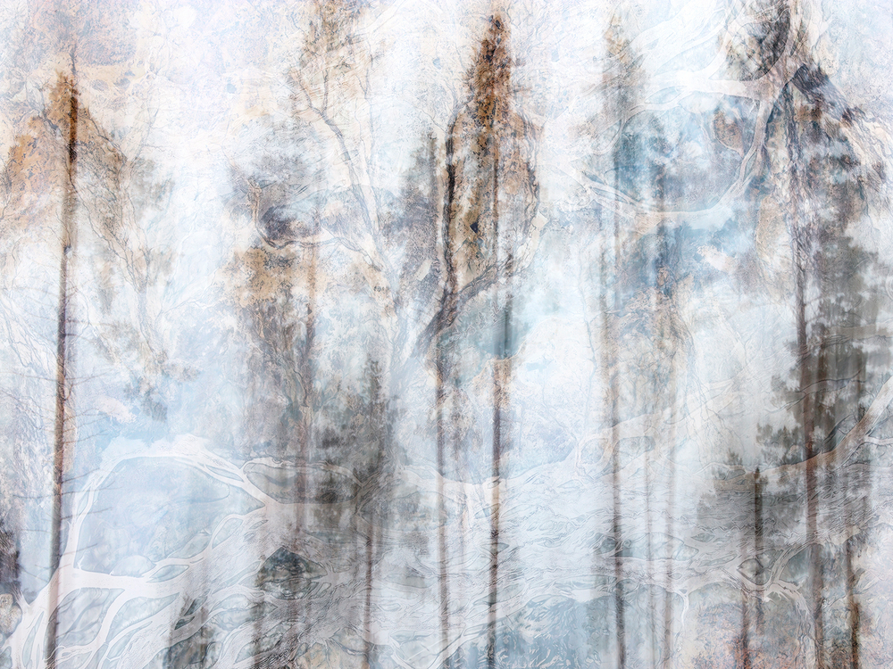 Коллекция EUPHORIA 22