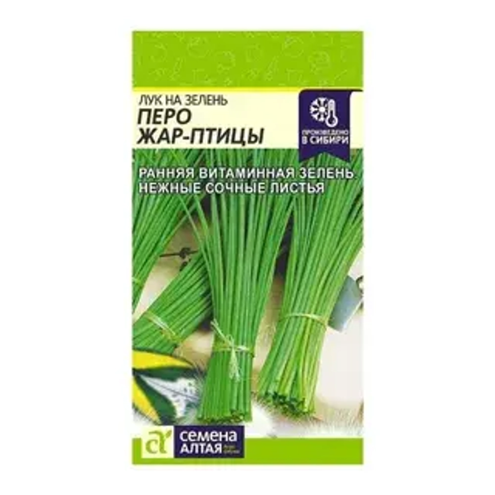 ЛУК НА ЗЕЛЕНЬ