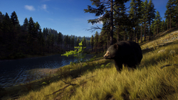 Way of the Hunter (для ПК, цифровой код доступа)