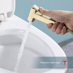 Гигиенический душ со смесителем встраиваемый с полкой и бумагодержателем Raglo R51.55.03, сатин золотой