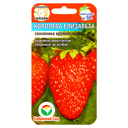Земляника Королева Елизавета (семена)