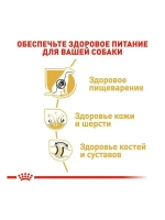 Royal Canin German Shepherd Adult PRO (Роял Канин немецкая овчарка) 16 кг.