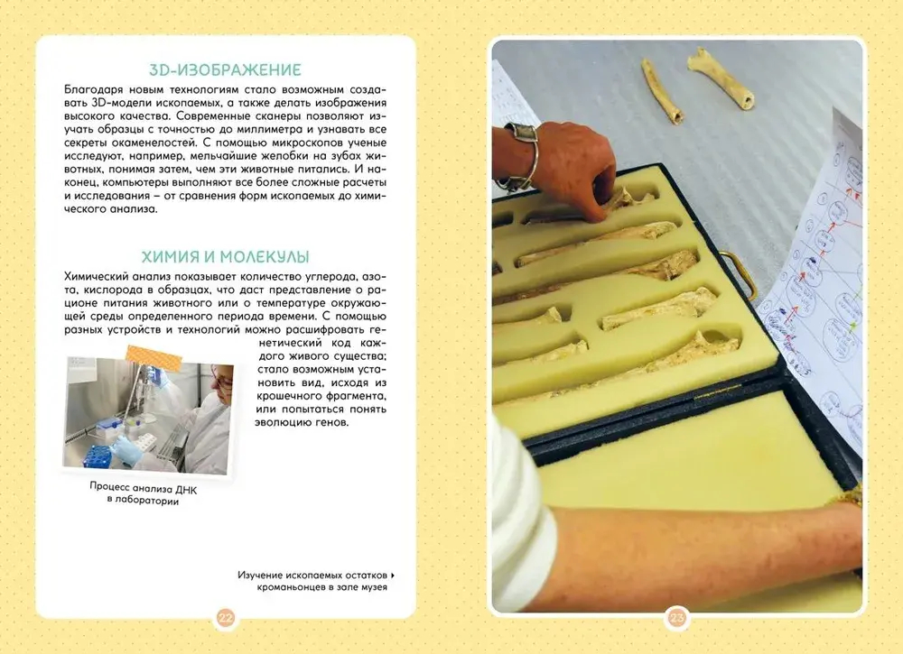 Древний мир