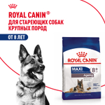 Royal Canin Maxi Ageing 8+ Макси Эйджинг Корм сухой для стареющих собак крупных пород старше 8 лет 15кг
