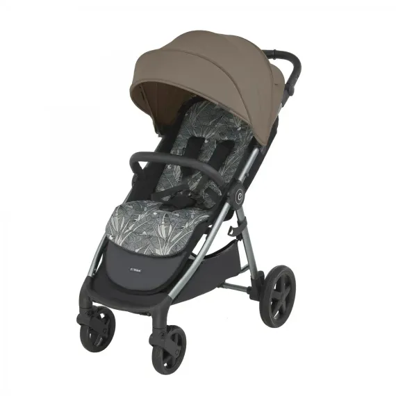 Прогулочная коляска Espiro Wave Timeless Rapsody (319)