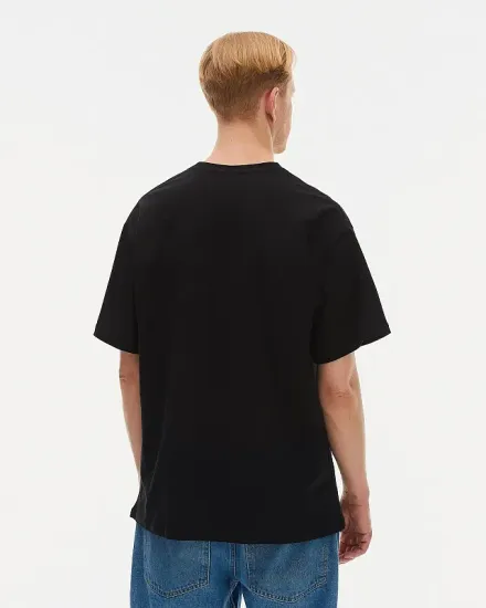 Футболка Anteater 391 чёрный