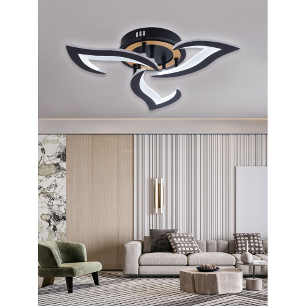 Светильник потолочный светодиодный Rivoli Cassandra 6194-703 LED 3000-6250К 42 Вт с пультом | Интерьерные светодиодные светильники