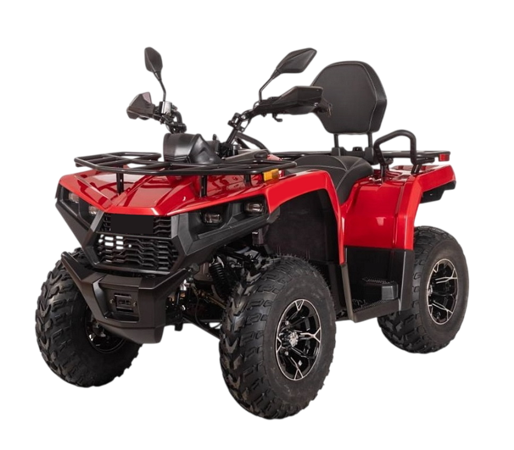 Квадроцикл Bizon YK250 LUX EFI ПТС