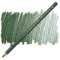Rəngli karandaş \ Цветные карандаши Faber-Castell Polychromos Pencil - 165 Juniper Green