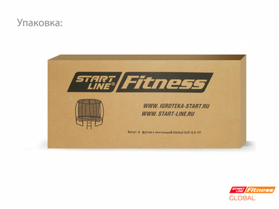 Батут 6 футов с лестницей Global